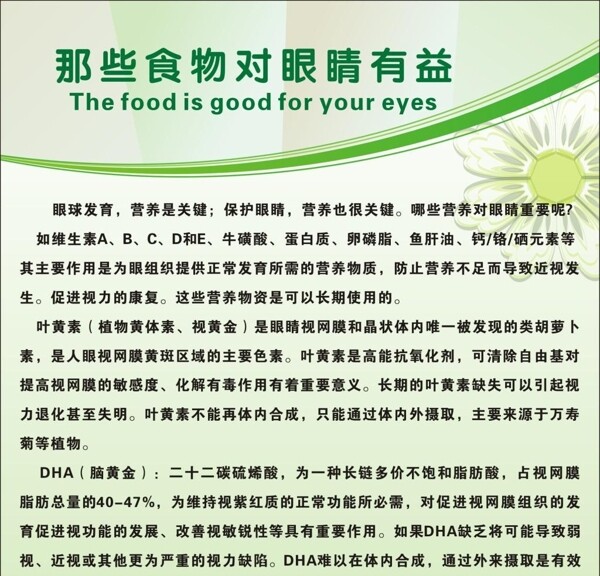 那些食物有益眼睛海报宣传活动模