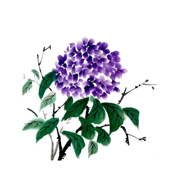 水墨国画紫色绣球花PNG紫阳花