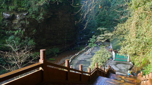 四川碧峰峡风景