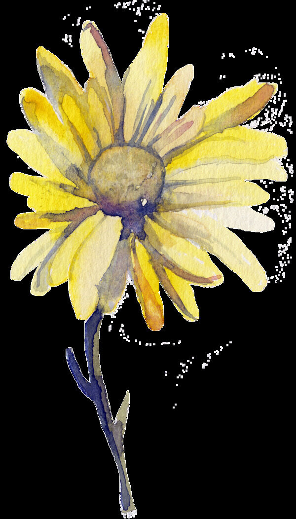 黄色太阳花透明装饰素材