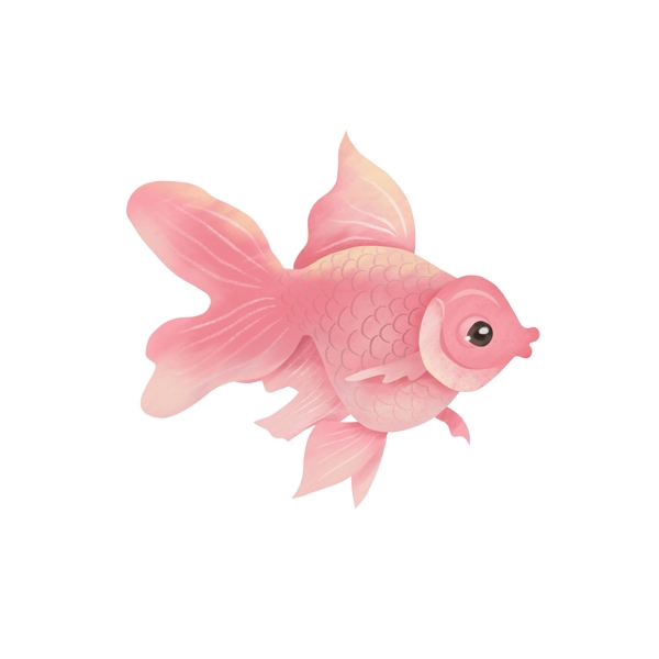 手绘一只粉红色小鱼设计