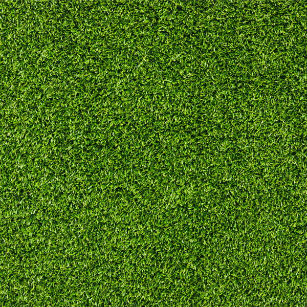 郁郁葱葱的绿色草的纹理背景