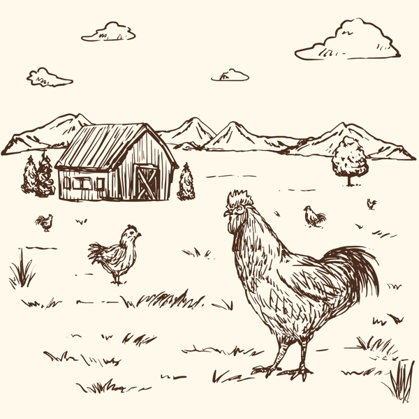 手绘农场里的公鸡
