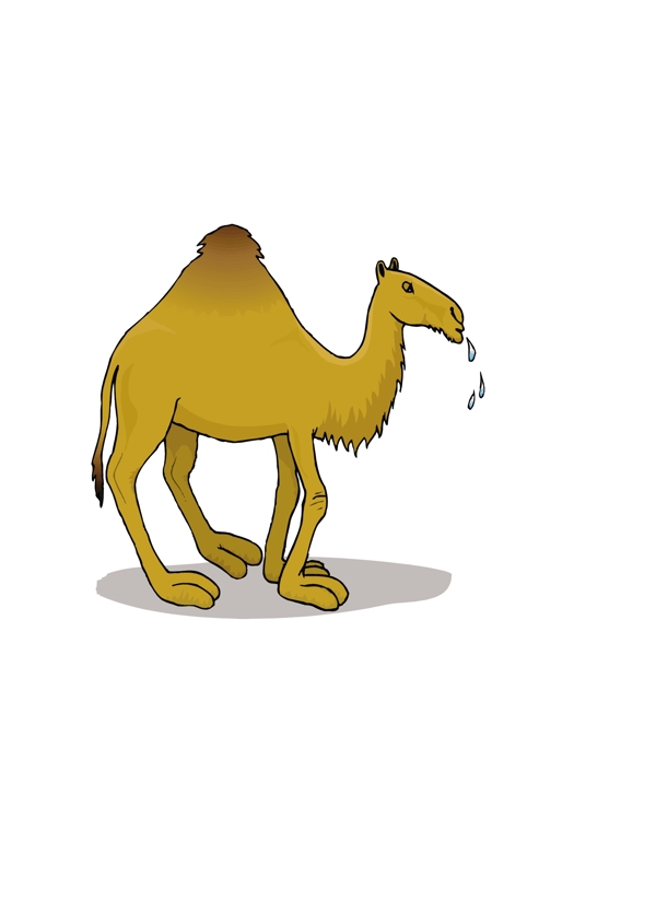 骆驼7向量