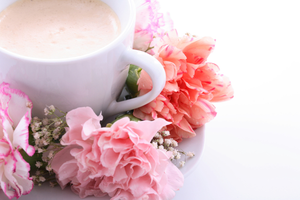 牛奶咖啡康乃馨图片
