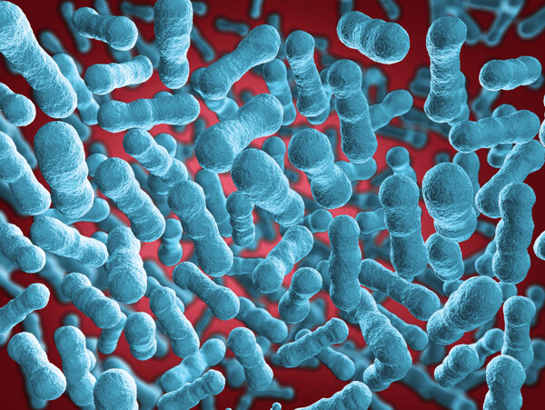 细菌微生物图片