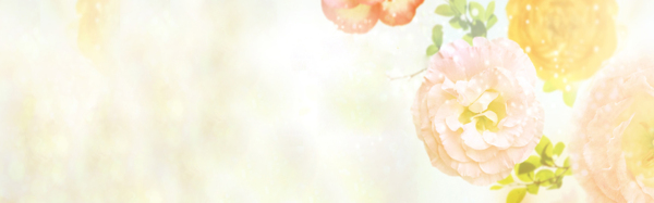 淡雅淘宝广告banner