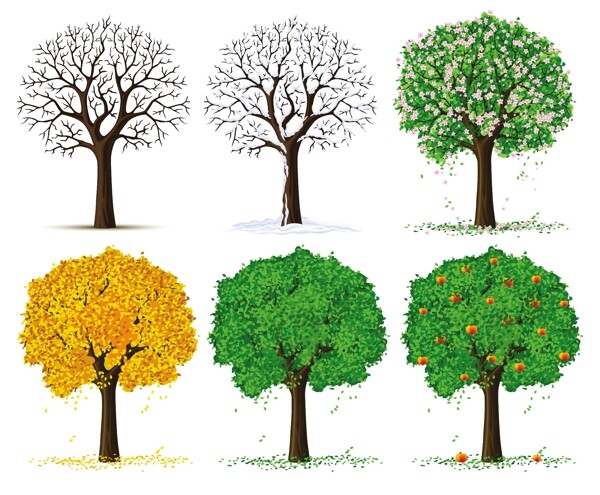 在不同的季节变化矢量图