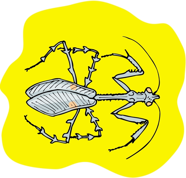 甲虫昆虫矢量素材EPS格式0133