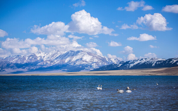新疆赛里木湖唯美风景图片