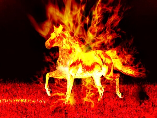 燃烧的烈马图片