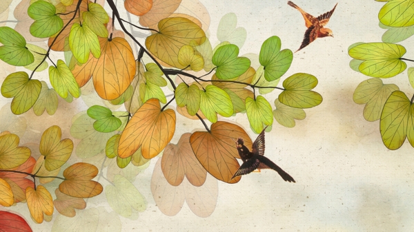 古典纹理立秋枯黄的树叶立秋节日节气