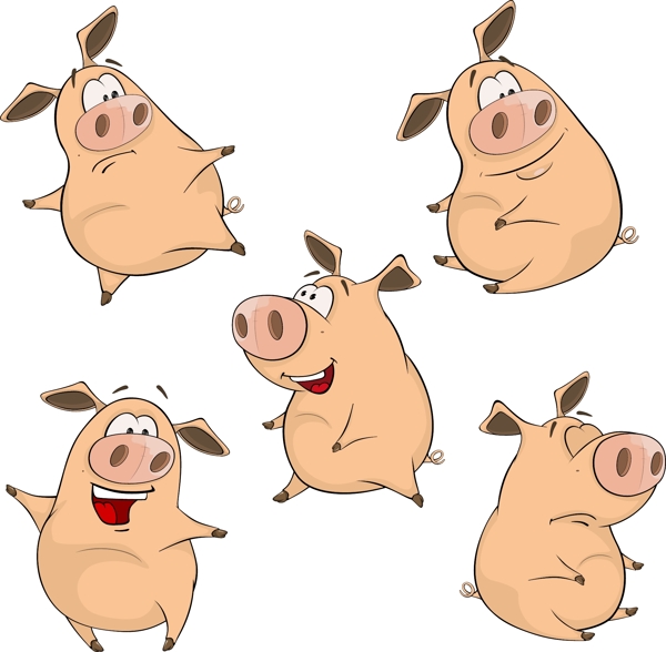 可爱卡通猪矢量图片