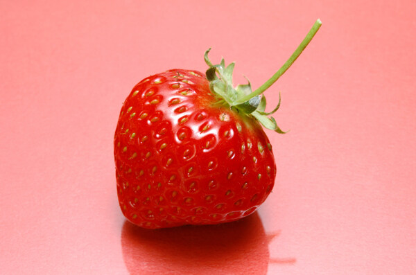 草莓012图片