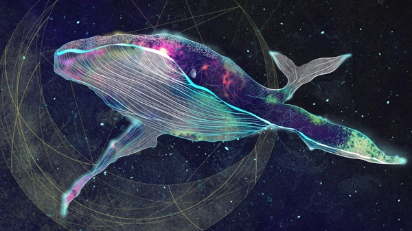 独特透明感鲸鱼治愈系海洋宇宙空气感插画