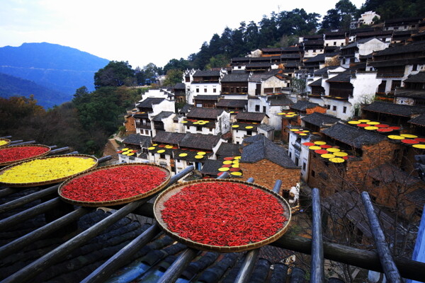 江西婺源篁岭晒秋风景