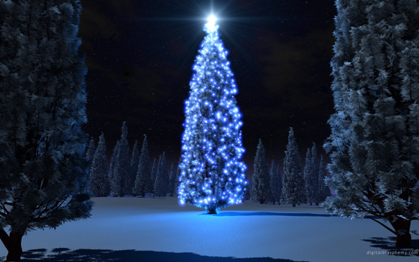 高清夜晚圣诞树图片