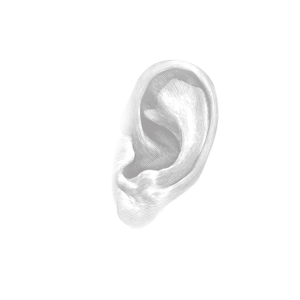 耳朵图案