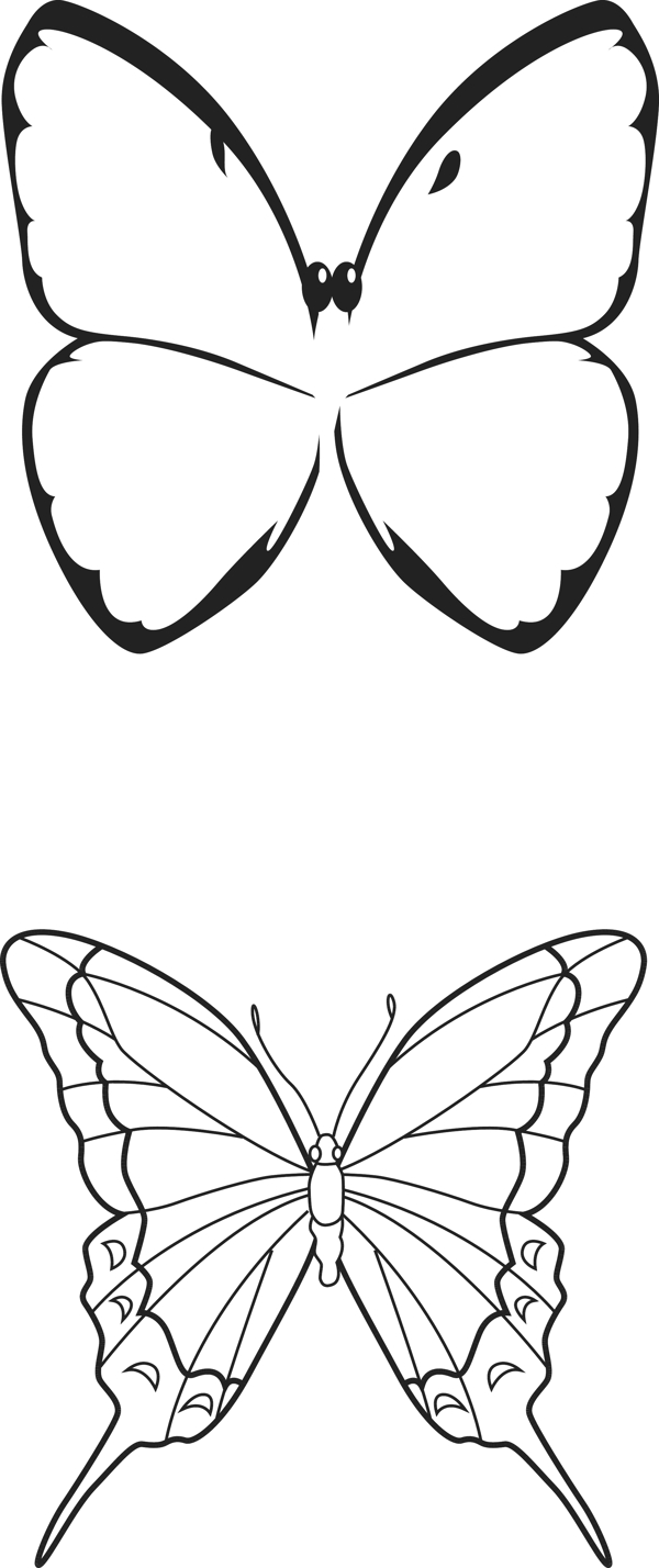 蝴蝶线描平面图