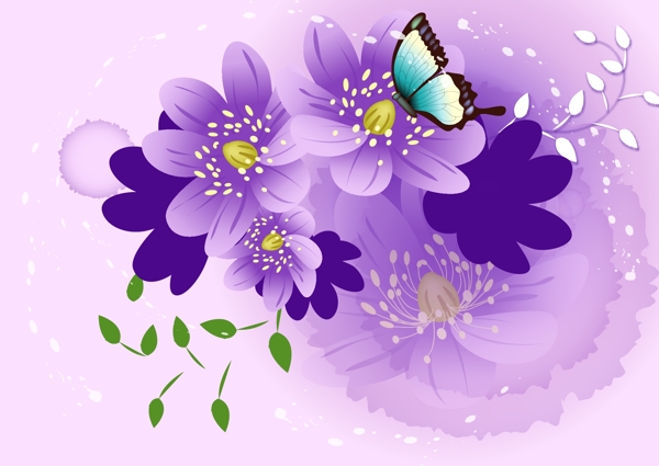 紫色调花蝶图片