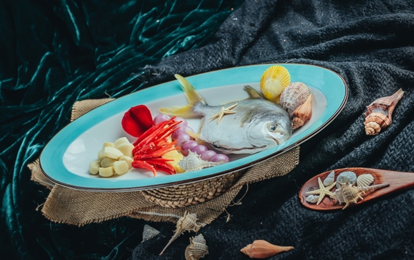 舟山大鲳鱼时价摄影图