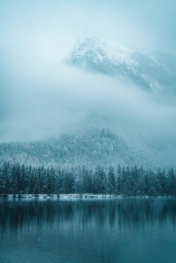 雪山雾气湖面树影寒冬