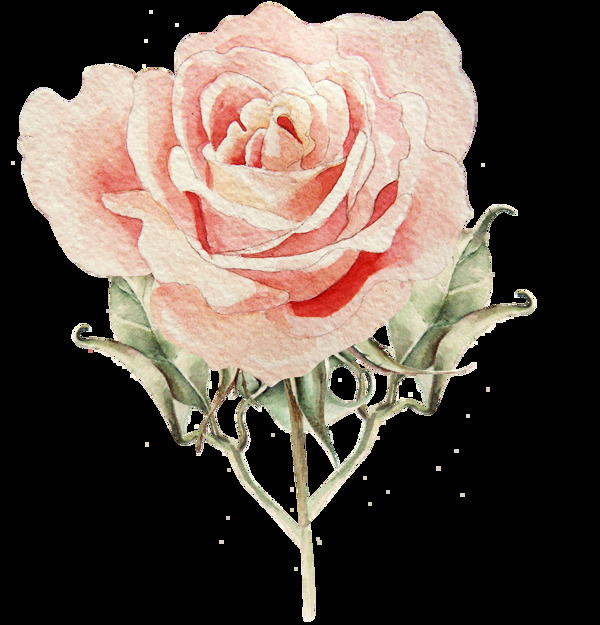 粉色花卉卡通透明素材