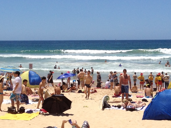 悉尼manly海滩图片