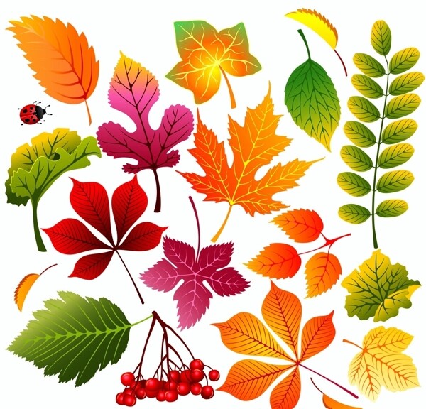 秋季红叶树叶矢量背景素材