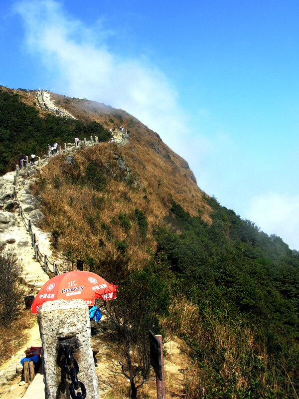 深圳梧桐山图片