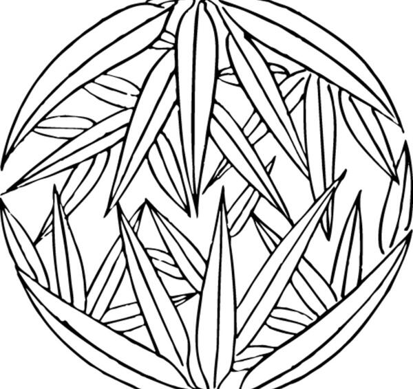 竹叶竹子矢量线图