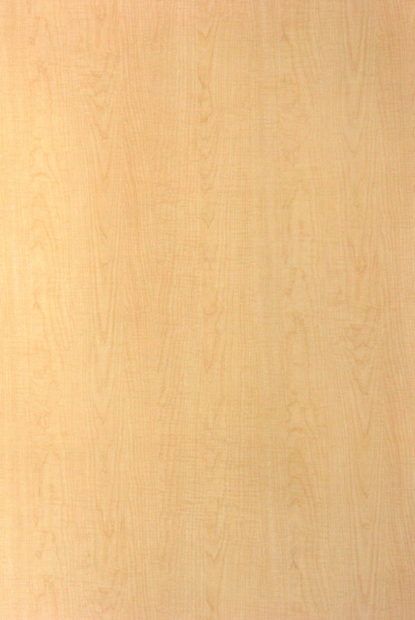 木材木纹木纹素材效果图木材木纹521