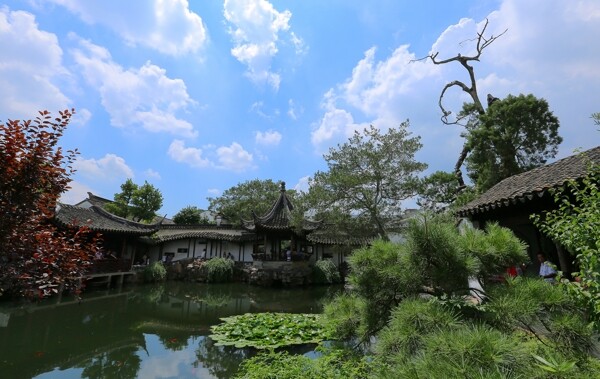 苏州网师园风景