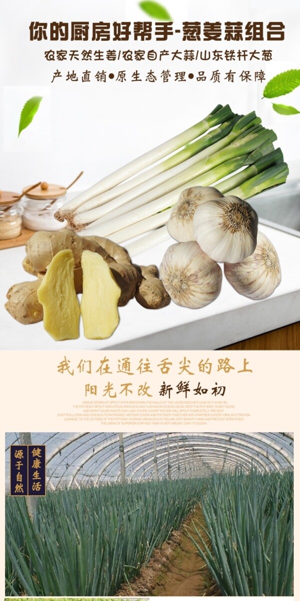 淘宝网食品蔬菜类葱姜蒜详情页模板