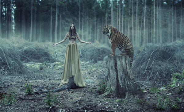 森林里的老虎和美女图片