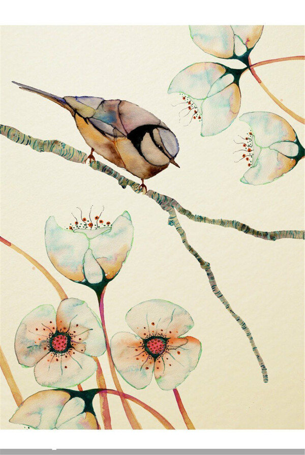 水彩花朵小鸟插画