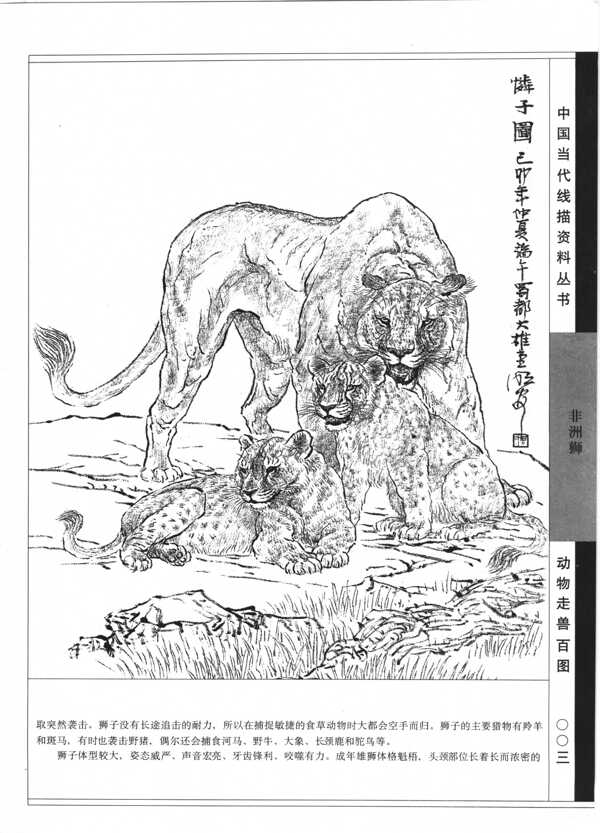 动物走兽百图15狮图片
