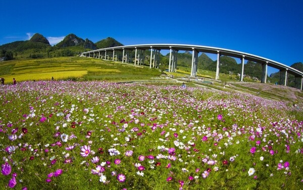 高速公路进瑶乡