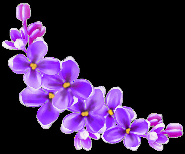 手绘精美紫花花朵png透明素材