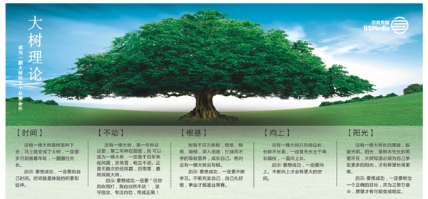 大树理论图片
