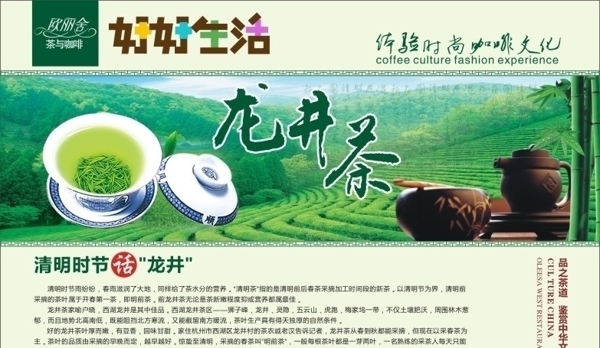 茶茶文化