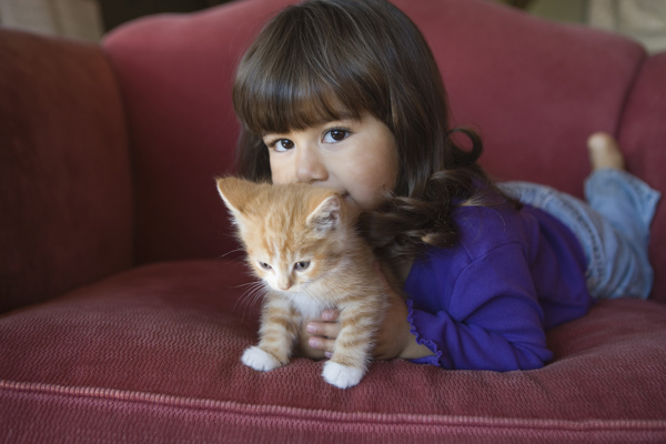 可爱小女孩与小猫