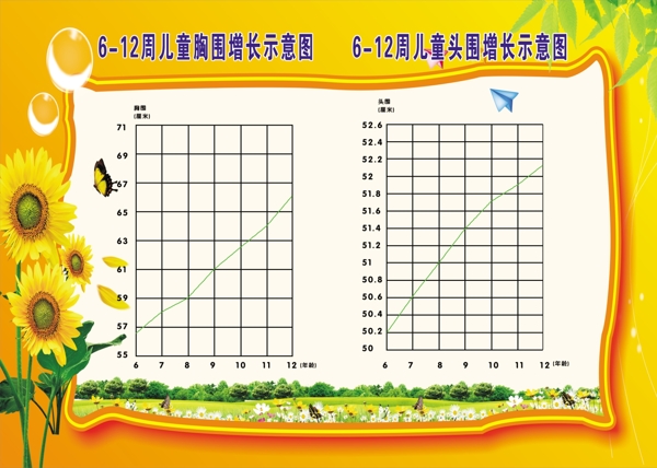 612周儿童胸围头围增长示意图