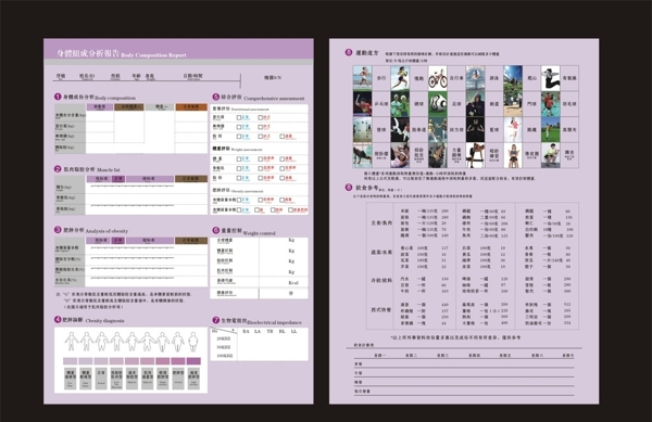 身体组成分析报告
