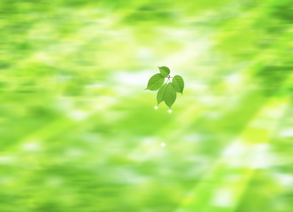 绿色树叶绿背景图片