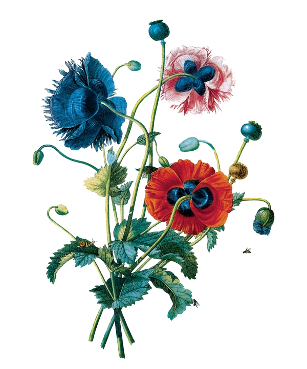 花卉油画2950厘米X60厘米