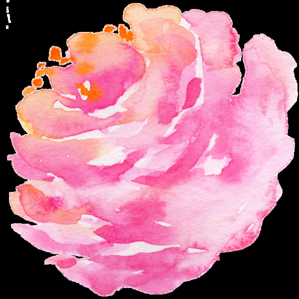 盛开粉色花卉卡通透明素材