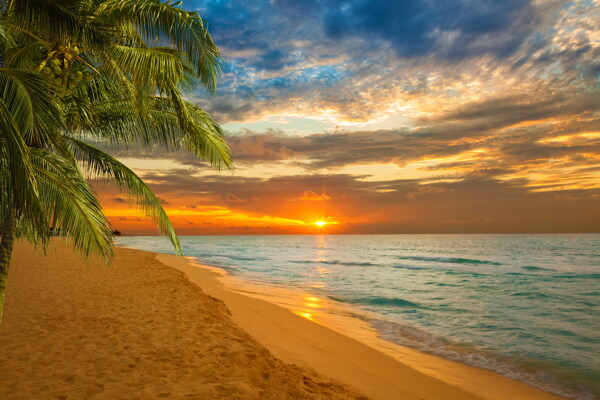 黎明海滩风景图片