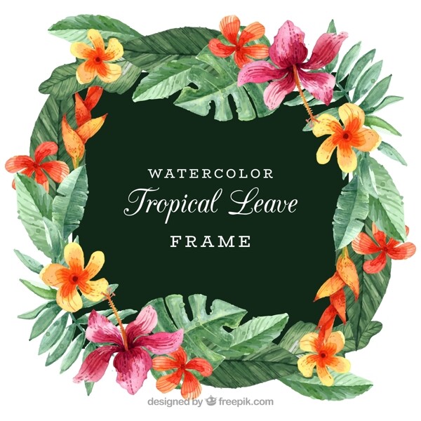 水彩绘热带花卉树叶框架