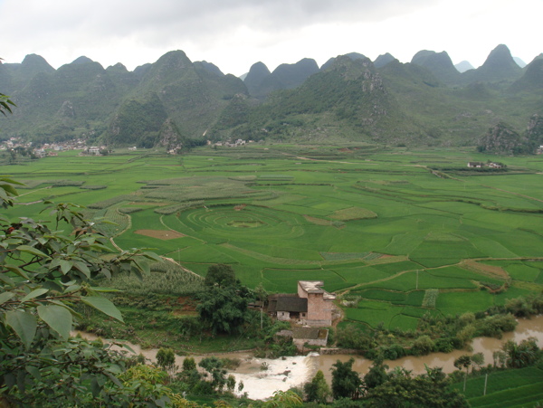 万峰林八卦田